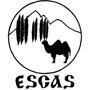 ESCAS 2023 Regional Conference: “Power, people and cultural change in an ever evolving Central Asia”  http://www.escas.org/next-conference/  22 – 24 September 2023, Almaty, Kazakhstan   Deadline for abstract submission : 15 March 2023